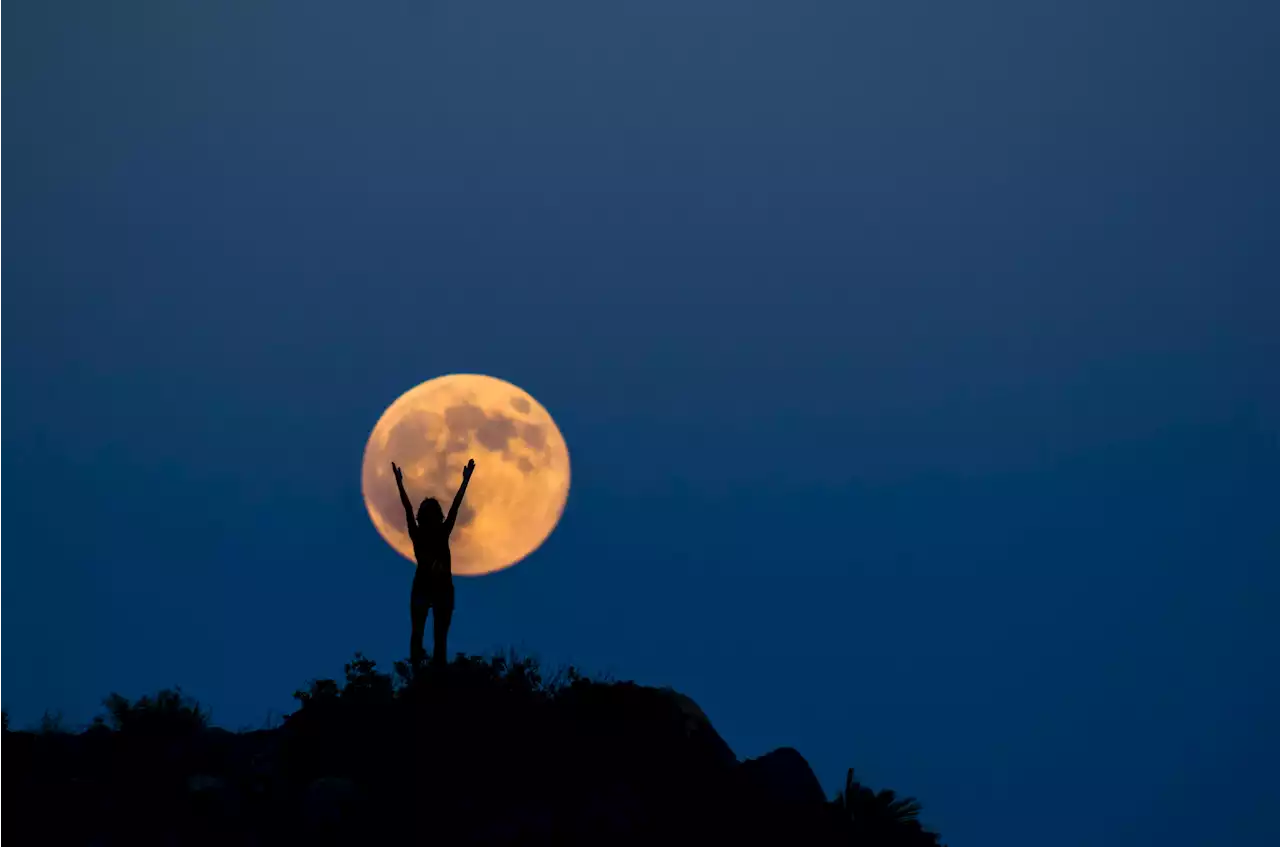 See A Beautiful ‘Hunter’s Moon’ Cruise Past Mars: The Naked Eye Night Sky This Week