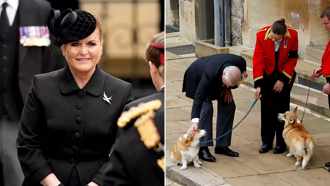 Queen Elizabeth II's corgis are all right: Sarah Ferguson's update on beloved dogs she and Andrew inherited