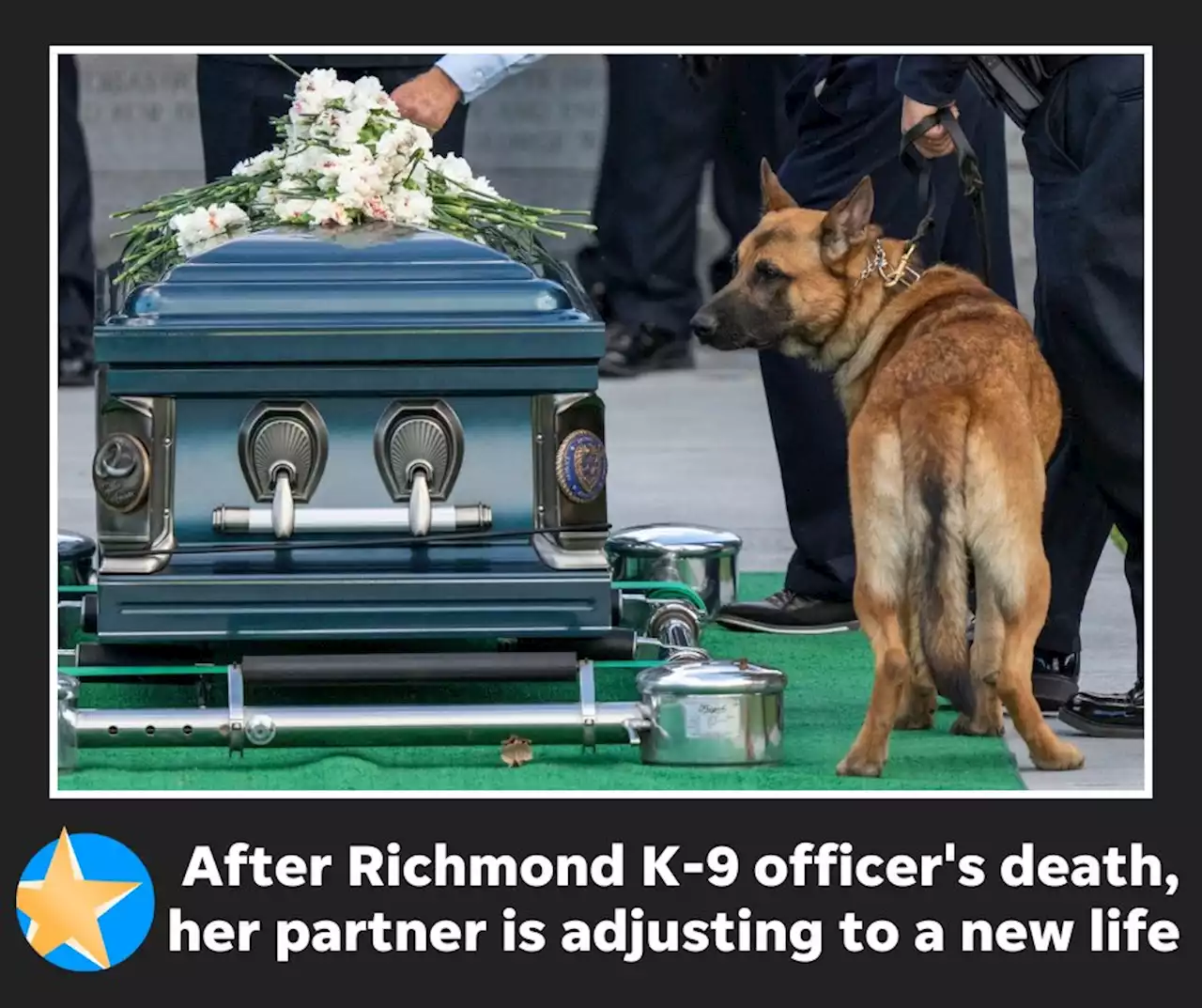 After fallen K-9 officer Seara Burton's death, what happened to her partner, Brev?