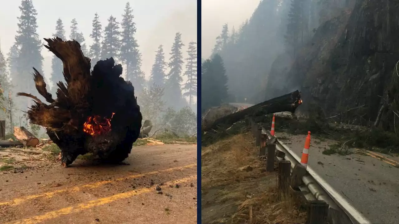 Highway 2 closed again as crews remove tree damaged by Bolt Creek Fire