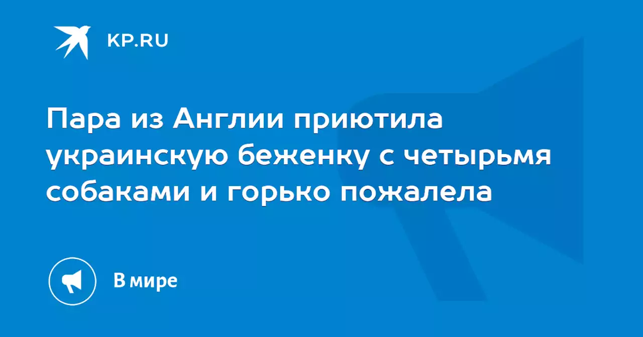 Пара из Англии приютила украинскую беженку с четырьмя собаками и горько пожалела