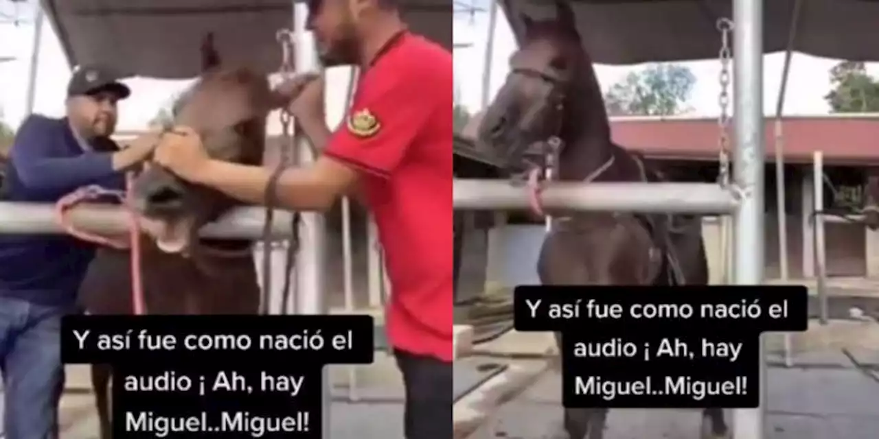 Este es el VIDEO original del audio viral de TikTok 'Ay Miguel'