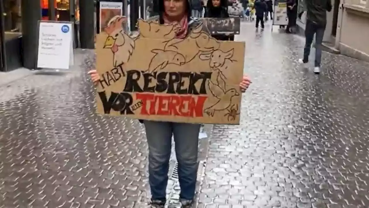 Kundgebungen - Menschenkette durch die Altstadt: Tierschützer gehen in Luzern und Zug auf die Strasse