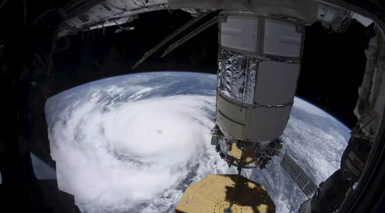 Giappone, paga il rientro sulla Terra a un finto astronauta russo che voleva sposarla: donna truffata