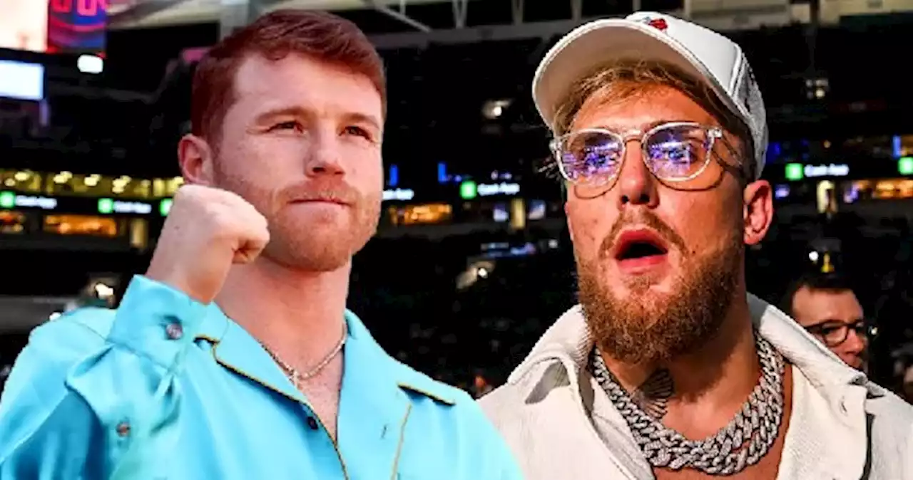 Jake Paul arremete contra Canelo Álvarez: 'Es viejo como una mier...'