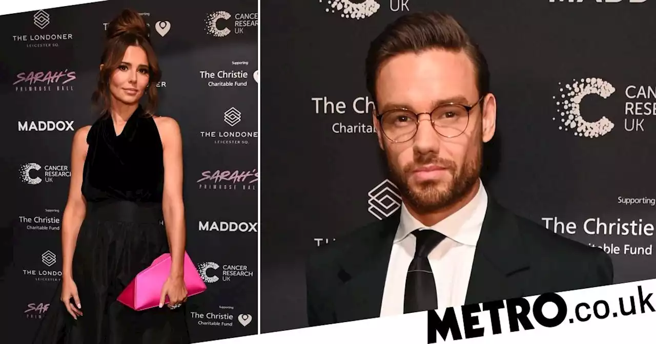 Liam Payne supports ex Cheryl at Sarah Harding's charity ball