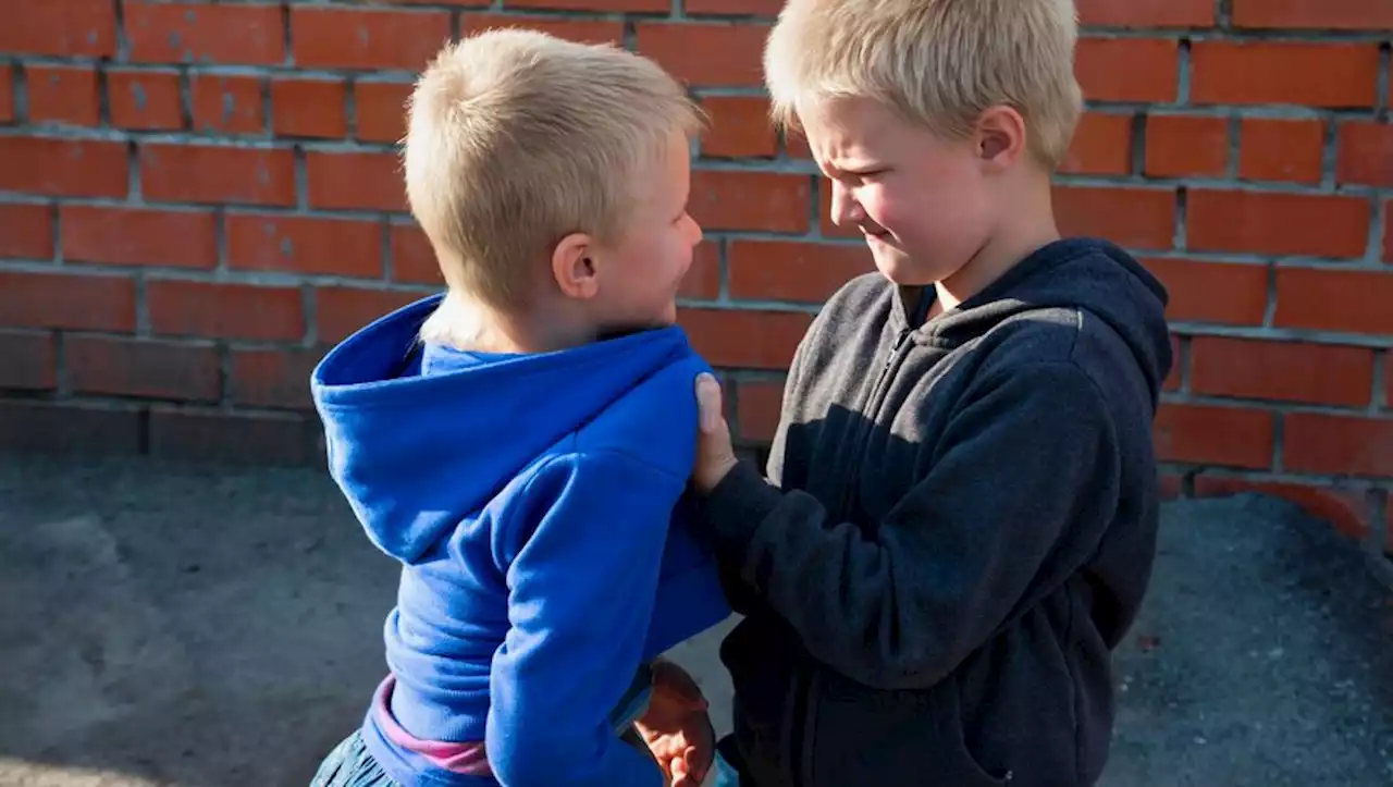 Besoin d'attention, reproduction, trouble... comment expliquer qu'un enfant soit violent à l’école ?