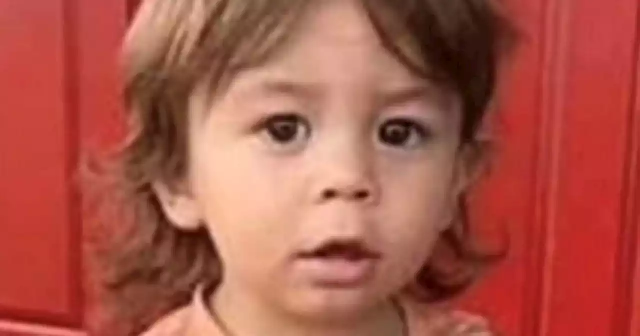 Search for Georgia toddler missing for 4 days continues amid hope of finding him alive