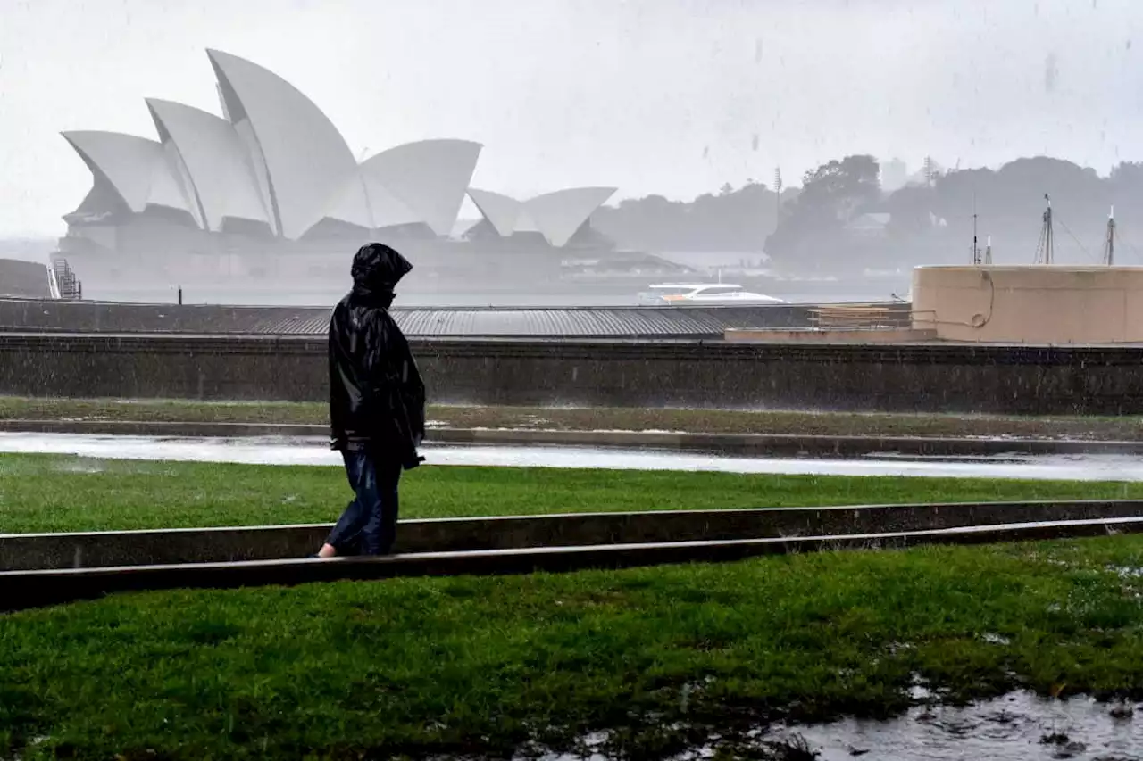 Sydney has wettest year on record with 2.2 metres of rain in 279 days