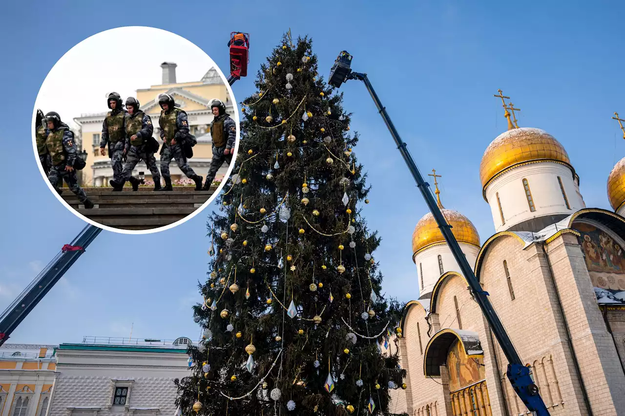 Russian state TV host calls to scrap Christmas trees, send money to army