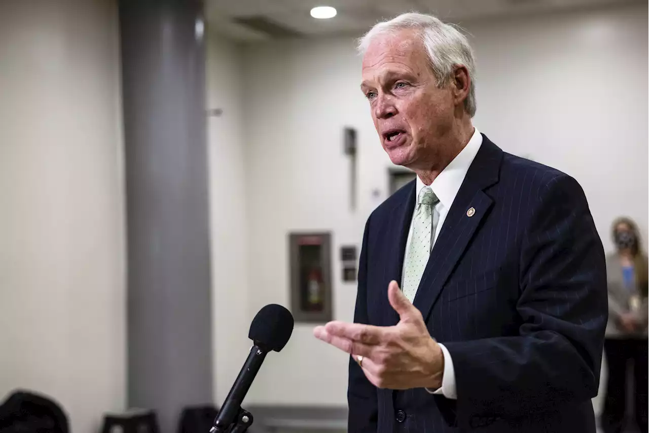 Woman who voted for Ron Johnson slams GOP senator: 'Very dishonest'