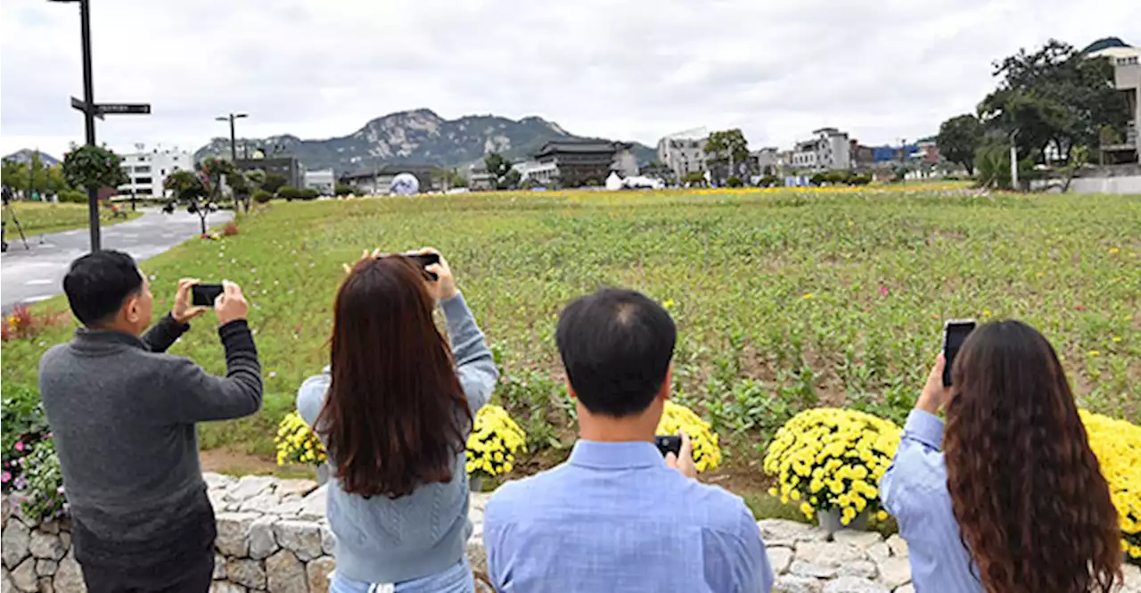 [르포]'담장 낮추니 탁 트여 북악산도 한눈에'…송현동 부지 개방 첫 주말