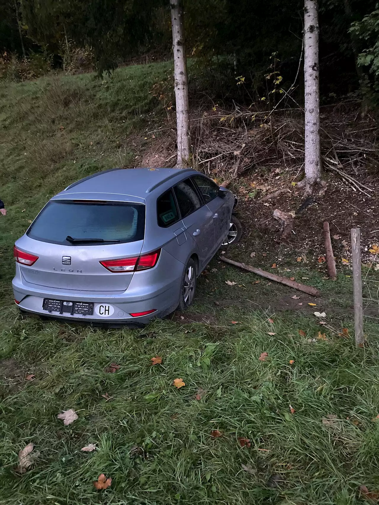 Wittinsburg BL: Seat-Fahrer (30) kommt von Fahrbahn ab und kollidiert mit Strassenbord