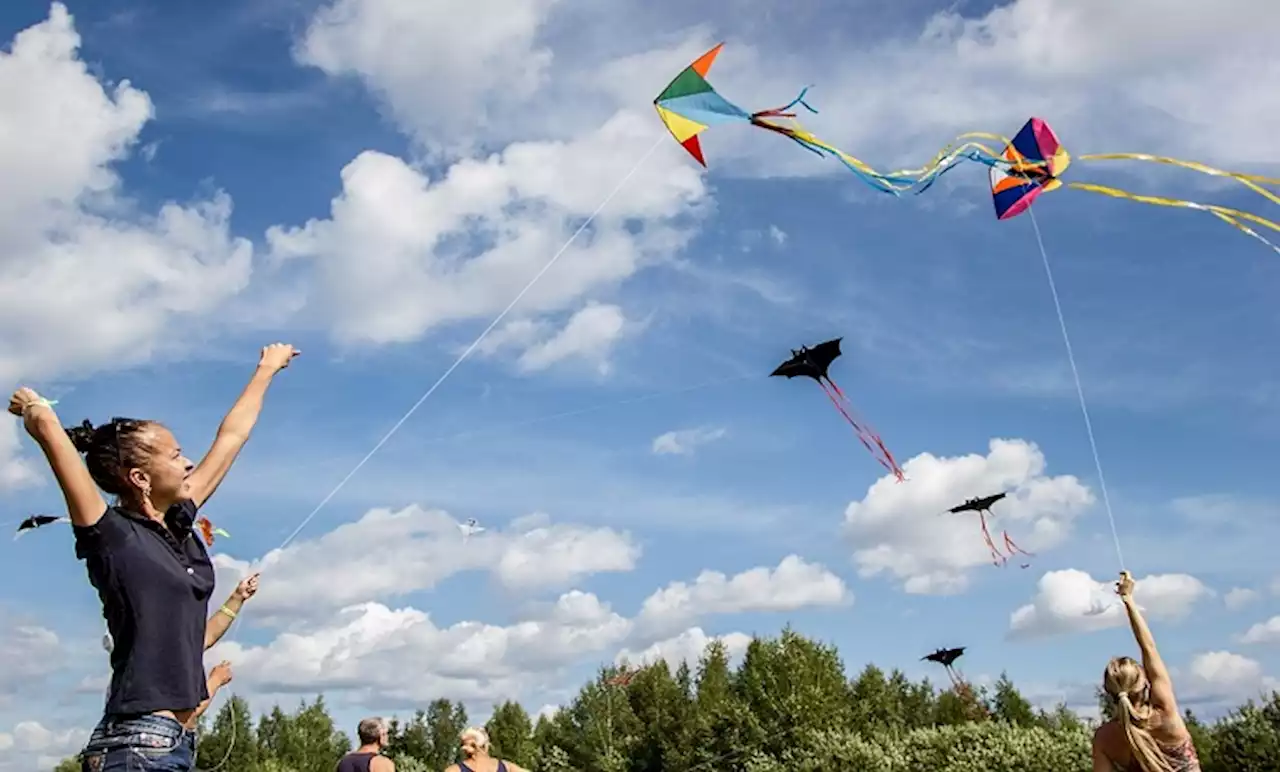 Kite enthusiasts converge on Sedgefield’s annual kite festival to raise funds - SABC News - Breaking news, special reports, world, business, sport coverage of all South African current events. Africa's news leader.