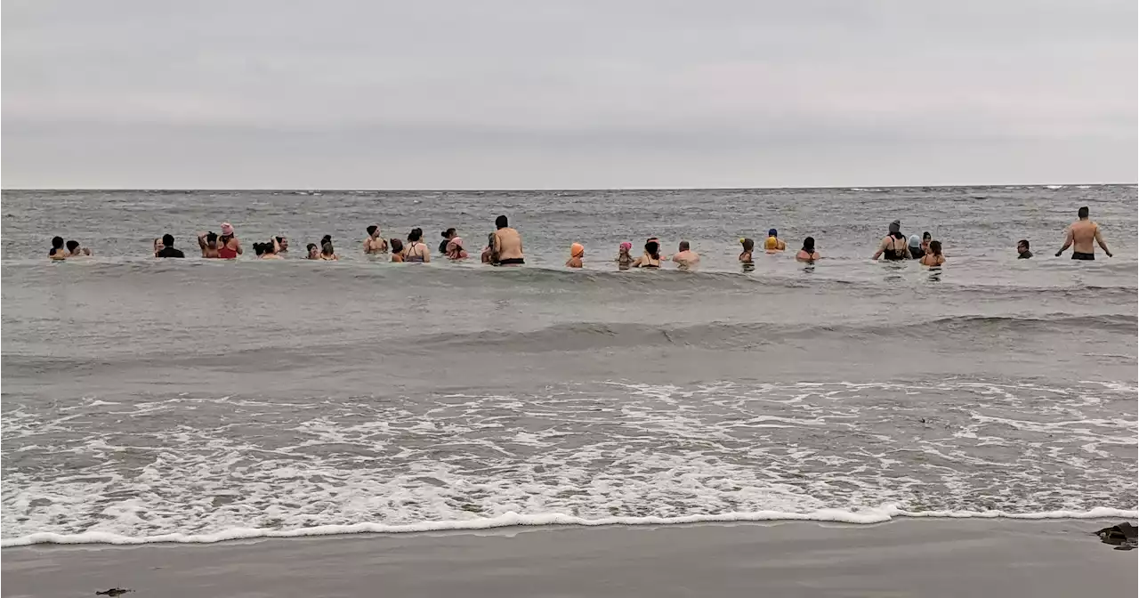 Nova Scotia dippers embrace the cold in bid to improve mental, physical health | SaltWire