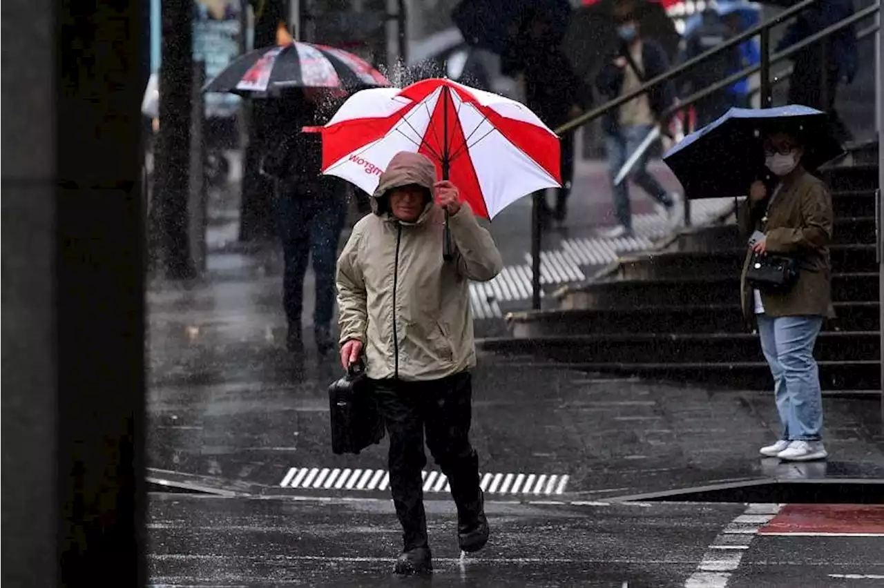 Heavy rains ease in Australia's New South Wales, flood warnings remain in place