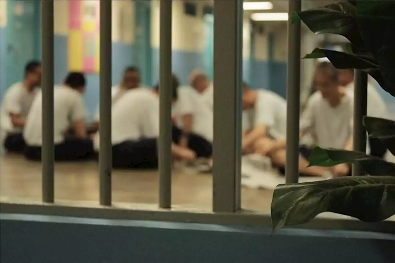 Significant improvement in recidivism rate among Malay offenders