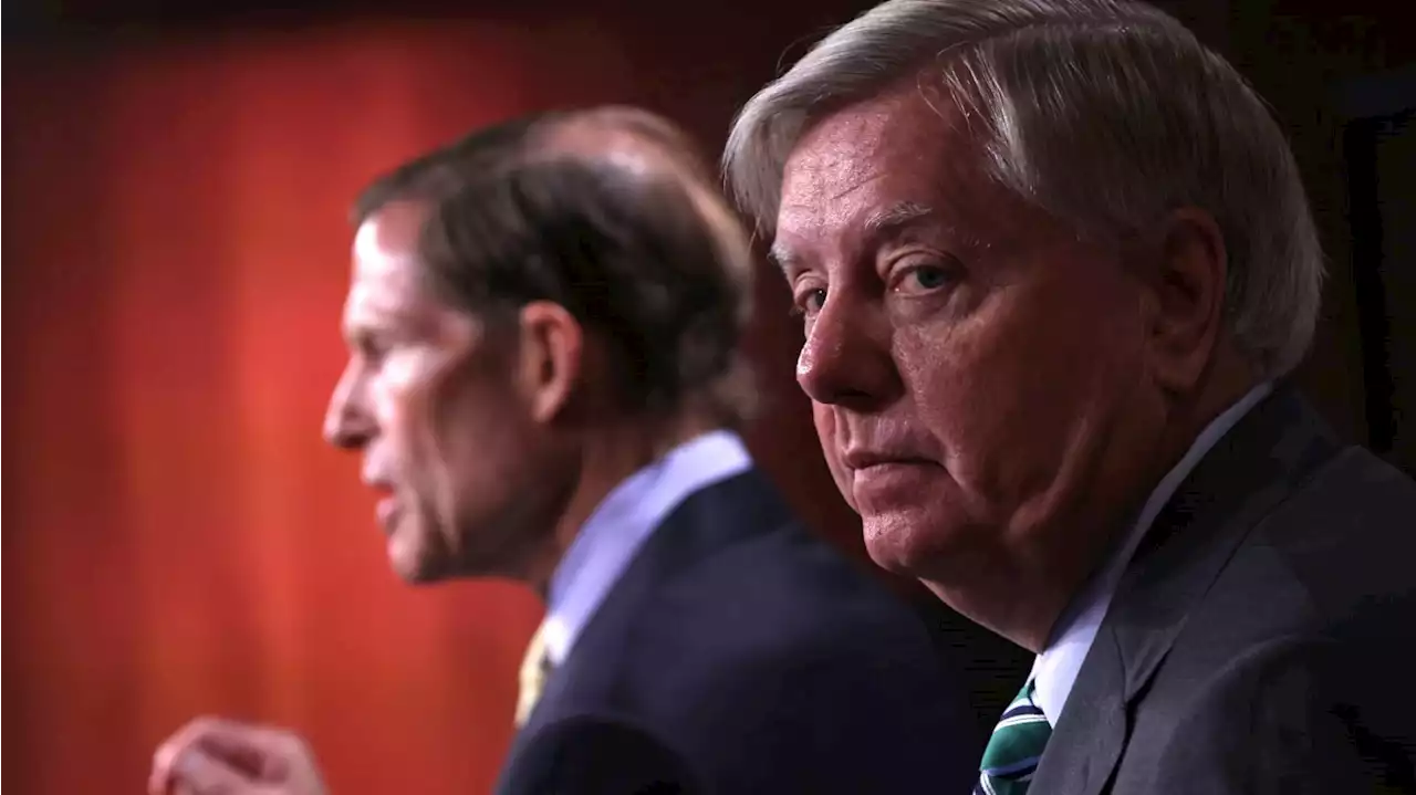 Lindsey Graham Wanted Jan. 6 Rioters Shot Dead, Book Claims