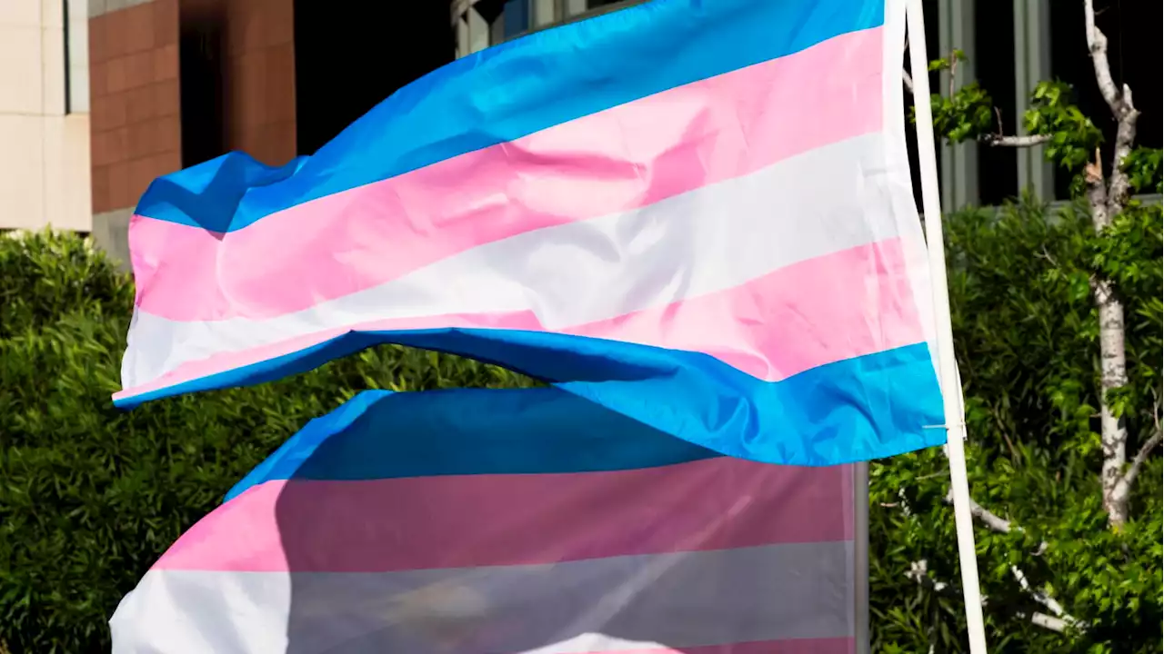 Vanderbilt Suspends Trans Care Treatment for Minors After Far-Right Attacks