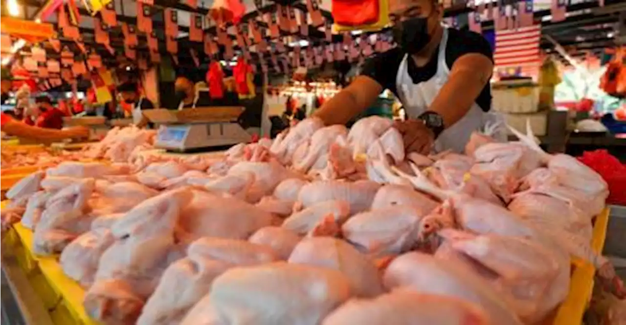 Chicken, egg subsidies extended until December 2022