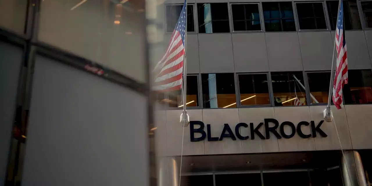 BlackRock Walks a Political Tightrope on Climate Issues