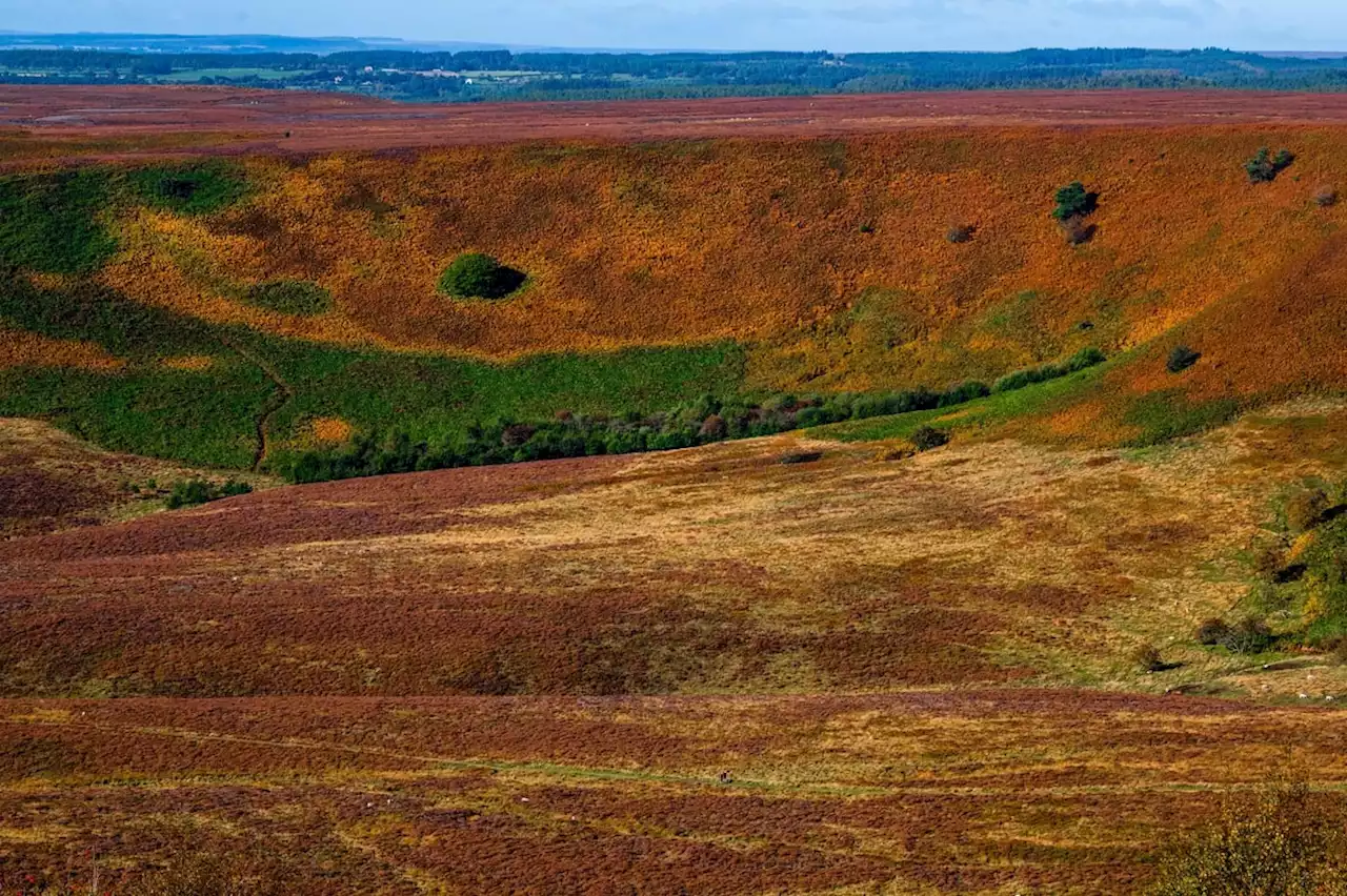 11 stunning photographs that encapsulate the beauty of Yorkshire in Autumn