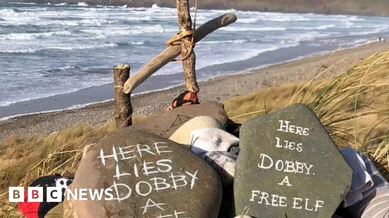 Harry Potter: Dobby's grave on Welsh beach saved for now