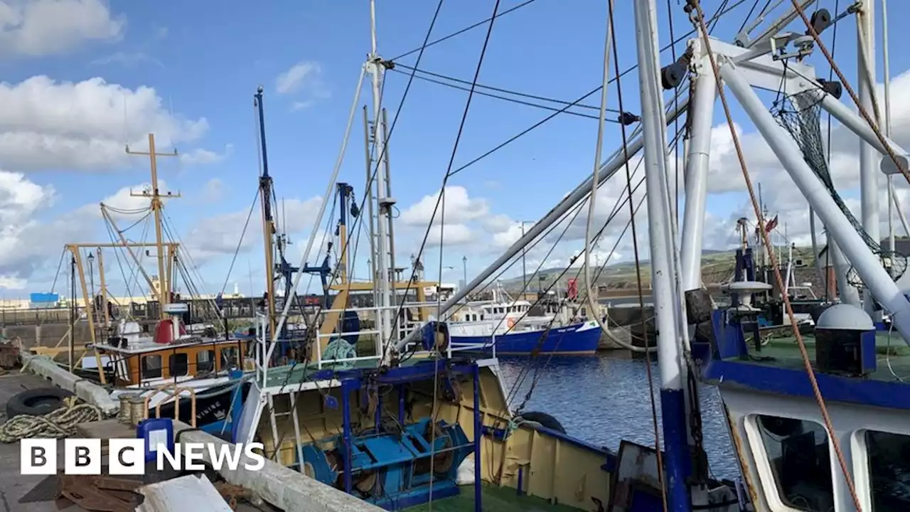 Size of fishing fleet cut as Isle of Man king scallop season opens