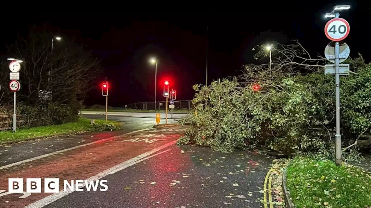 Strong winds disrupt travel across Hampshire and Dorset