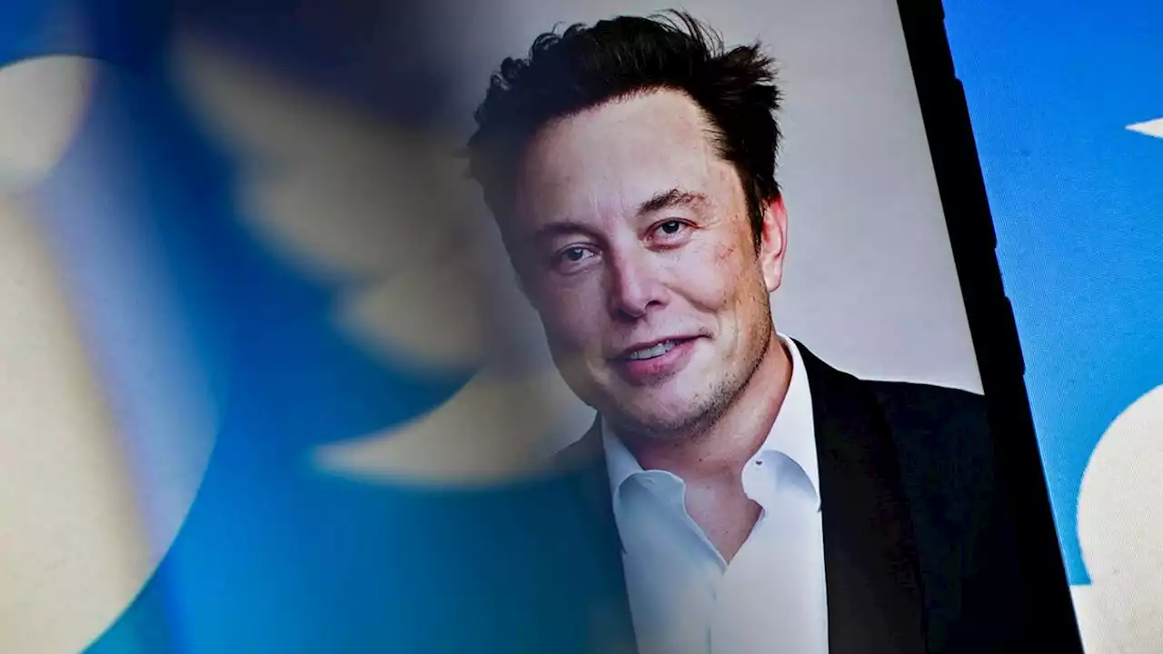 Musk wird Twitter-CEO und schmeißt Top-Management raus