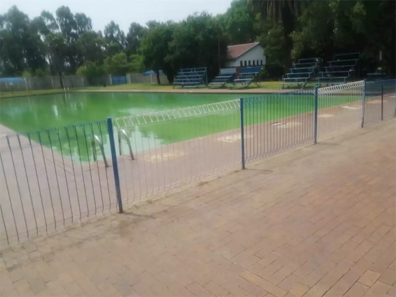 Reiger Park wants a clean swimming pool, more pools to close over chlorine gas shortage | Boksburg Advertiser