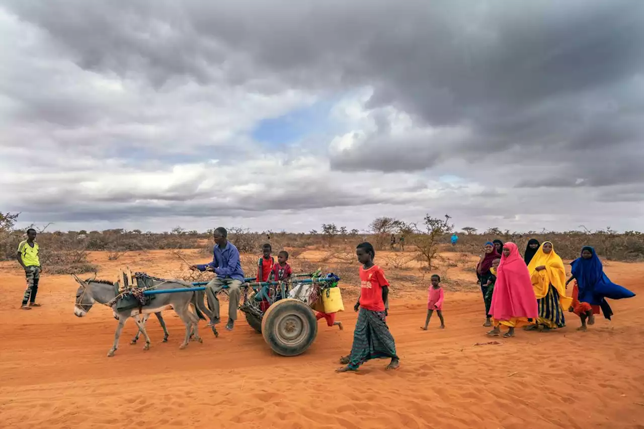 Hilfswerk: Klimawandel treibt Menschen in Ostafrika zur Flucht