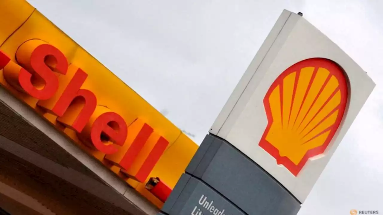 Shell buys Asia-based waste oil recycler to boost biofuels output