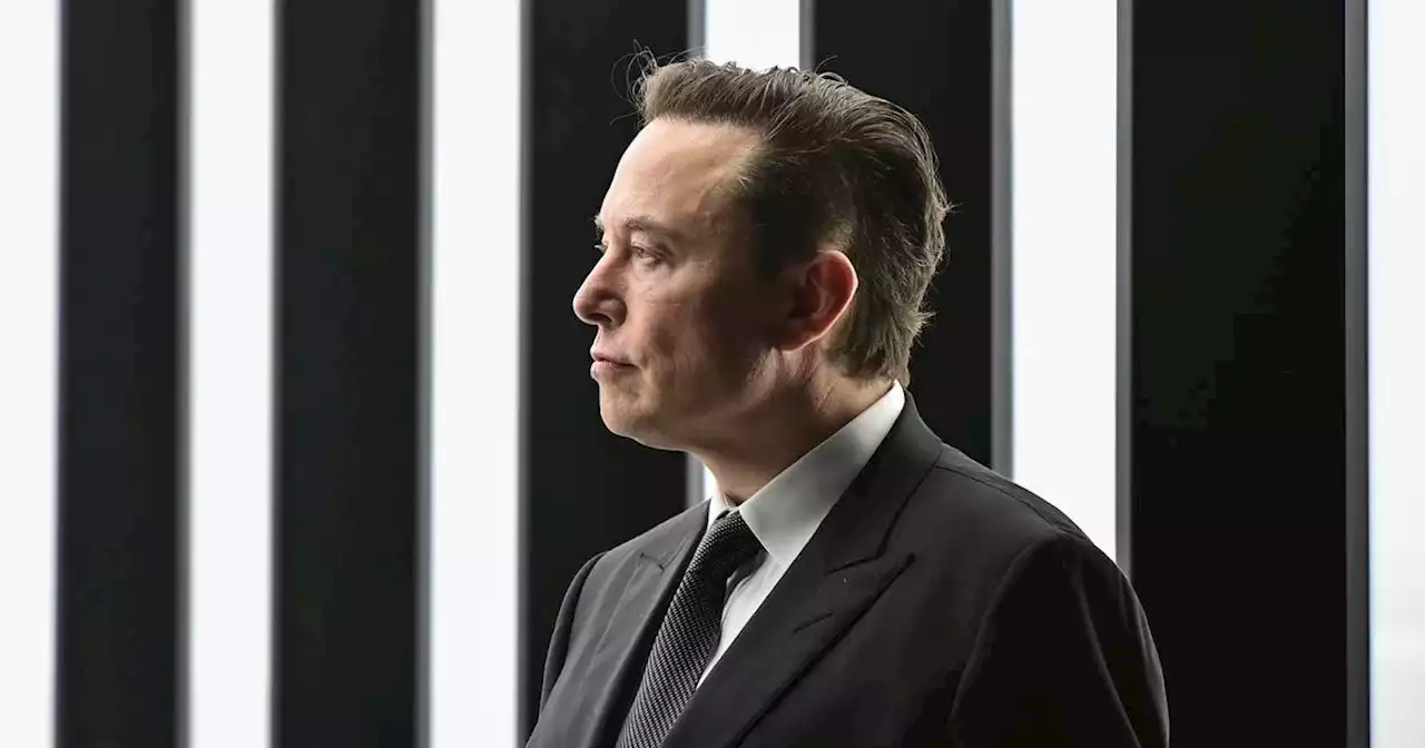 Elon Musk floating idea of Twitter users paying for verification as he fires platform’s board of directors