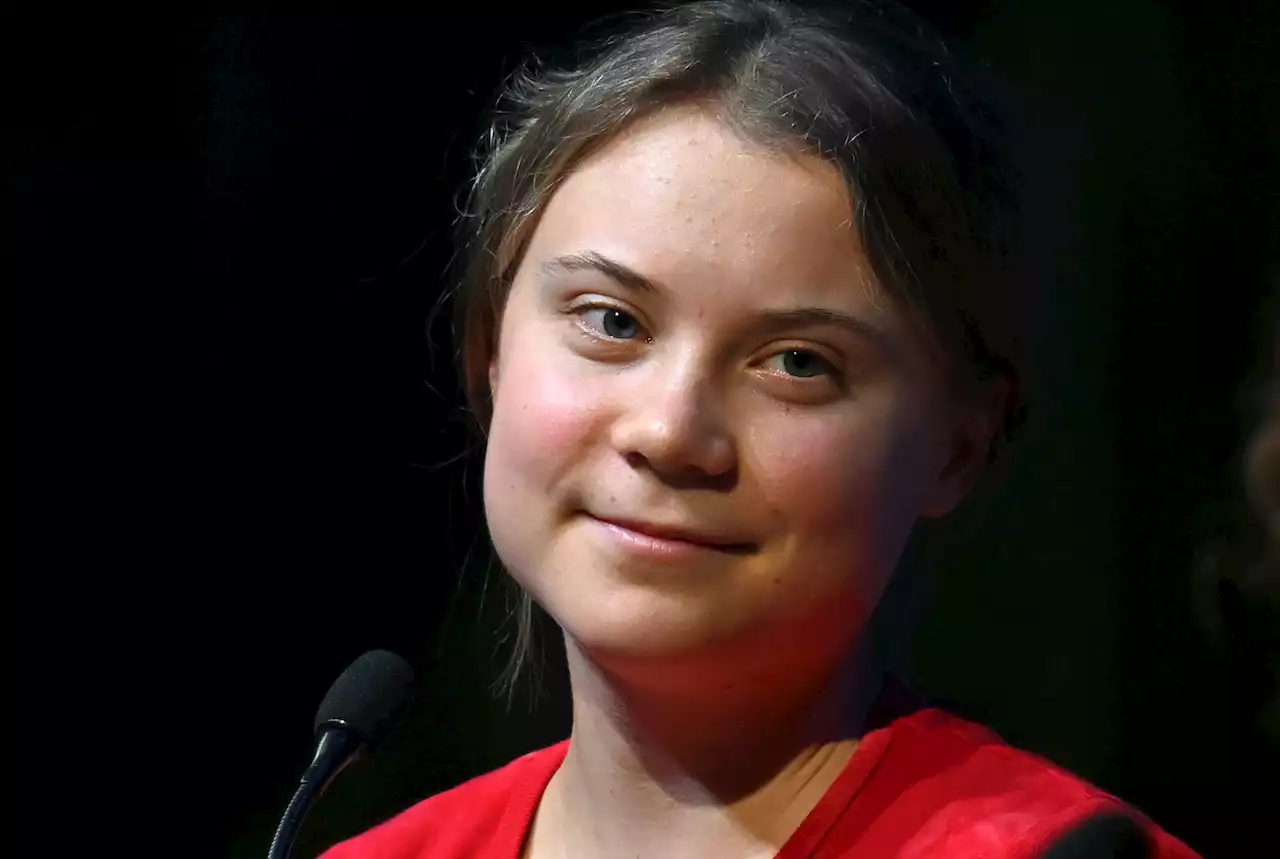 COP 27 : pour l'activiste écologiste Greta Thunberg, les COP sont devenues des machines à «greenwashing»