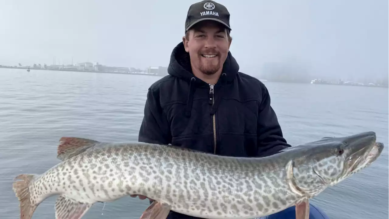 Man shocked after catching 'super unheard of' fish in Toronto Harbour