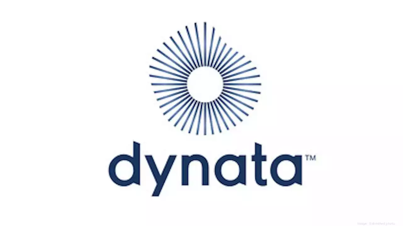 Dallas data firm Dynata has appointed Mike Petrullo as new CEO