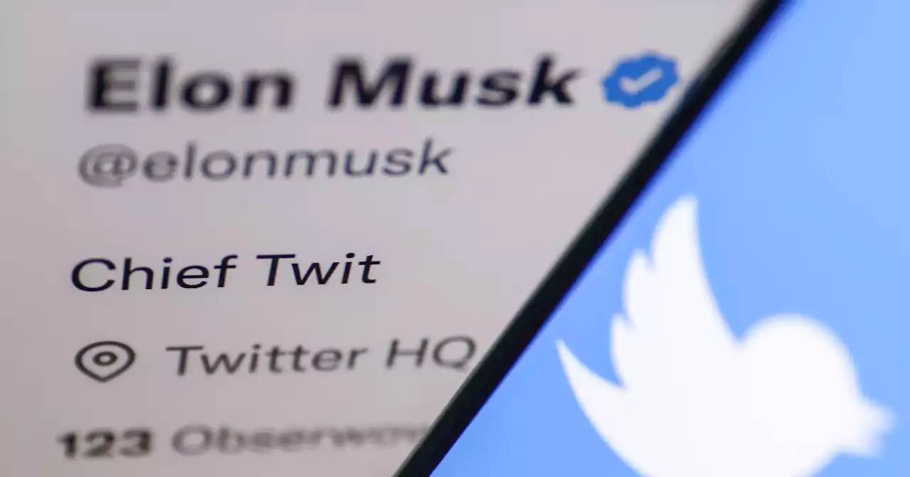 House GOP asks Elon Musk to hand over info on Twitter censorship of Hunter Biden laptop