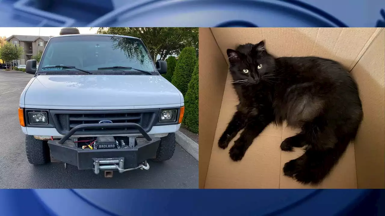 Man pleads for help finding stolen van, cat in Olympia