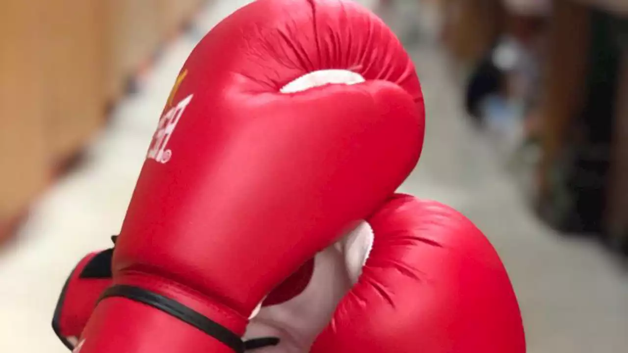 Mojisola Ogunsanya gym hosts clinic for eight boxers | The Guardian Nigeria News - Nigeria and World News