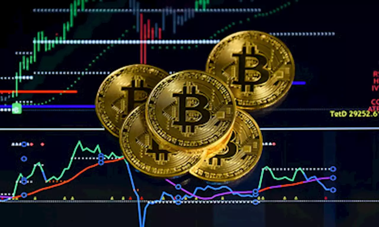 Bitcoin holds near $20,400 as analysts highlight its recent stability