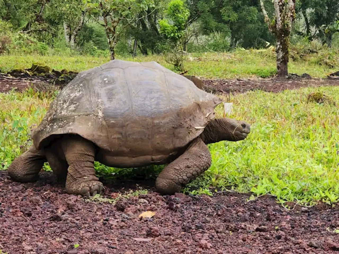 PHOTOS: Experience the Galápagos Islands with KPRC 2 and the Houston Zoo through pictures