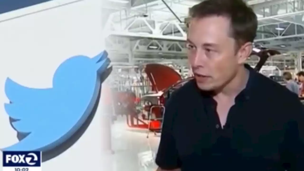 Elon Musk under scrutiny from Twitter users and World Federation of Advertisers