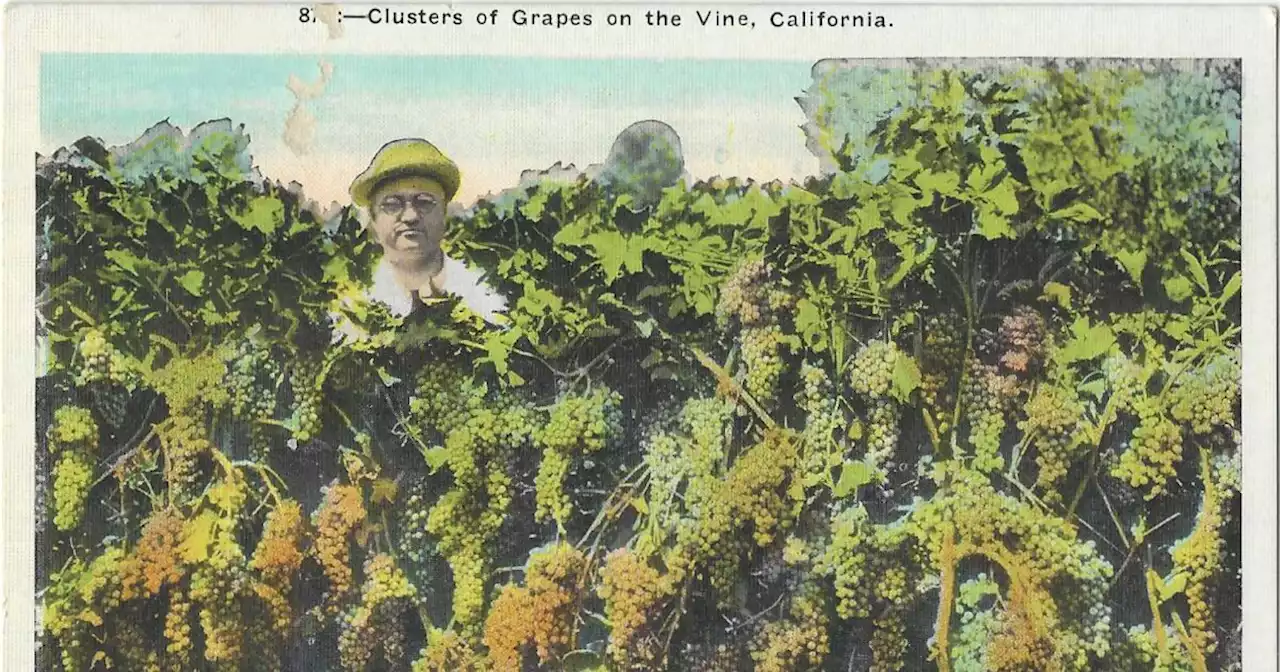 Long before citrus reigned in Southern California, L.A. made wine. Lots of it