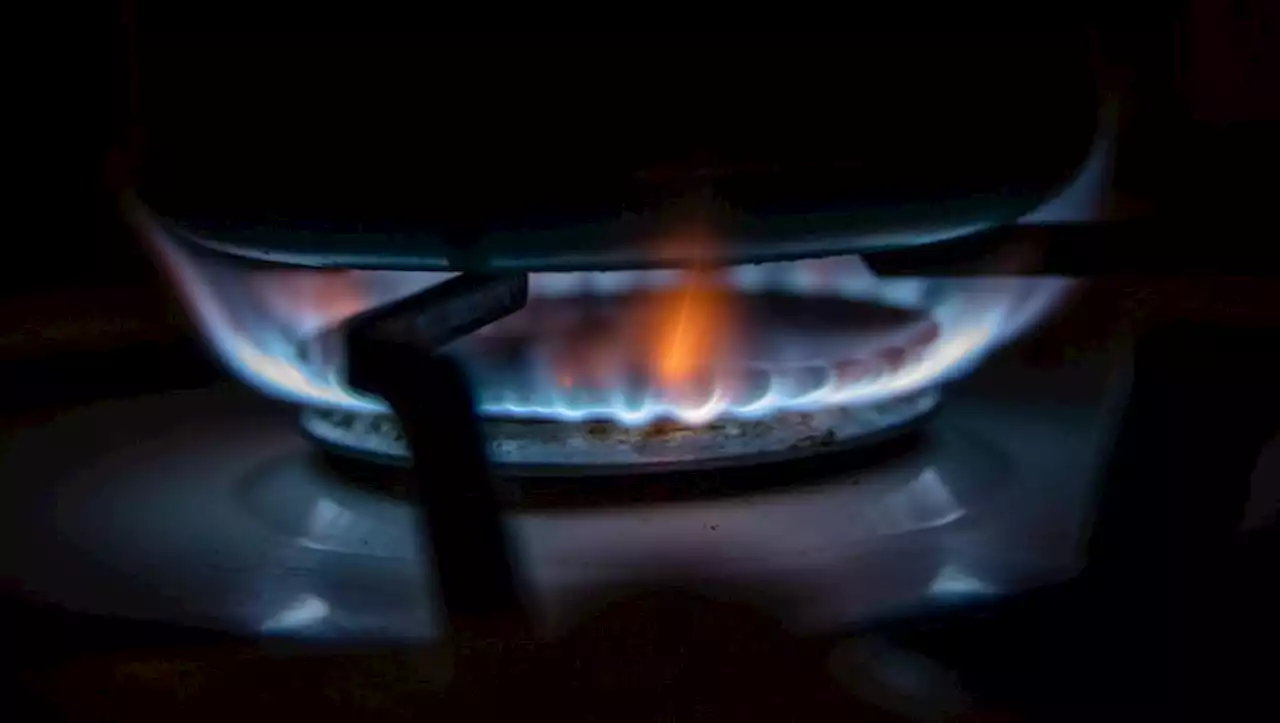 Ecogaz : comment fonctionne ce nouveau service de GRTgaz, très utile en cas coupure cet hiver