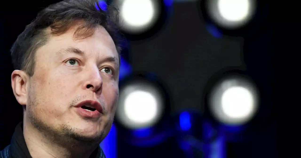 Elon Musk might bring back Vine, a predecessor of TikTok shut down by Twitter