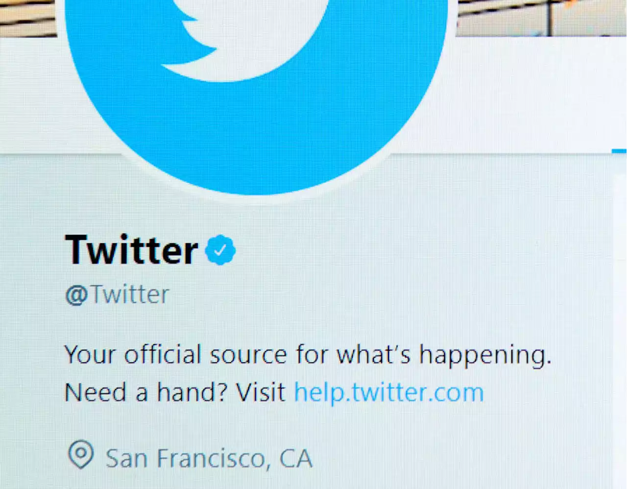 Twitter blue tick 'will cost €8 a month', Elon Musk confirms