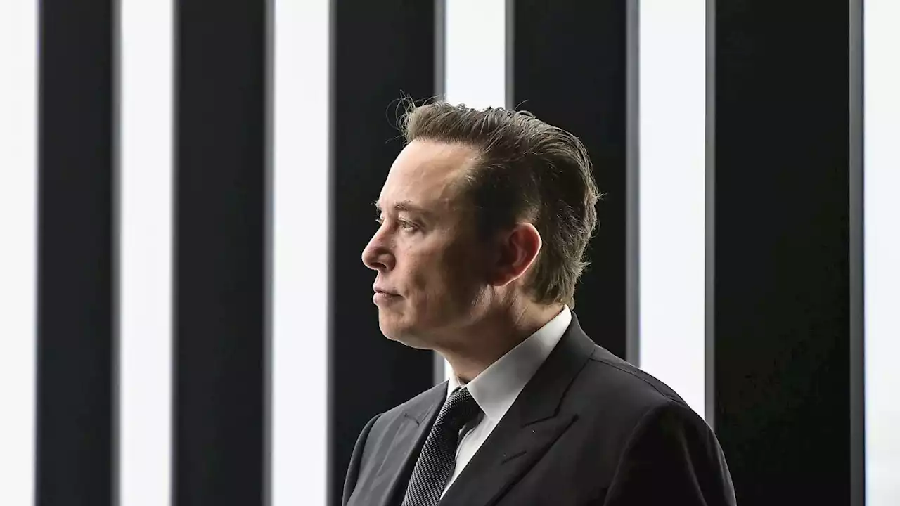 Elon Musk macht sich zum 'alleinigen Twitter-Direktor'