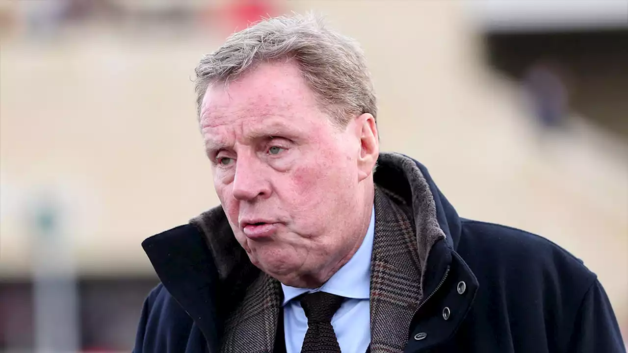 Harry Redknapp selects this trio of Newcastle United stars