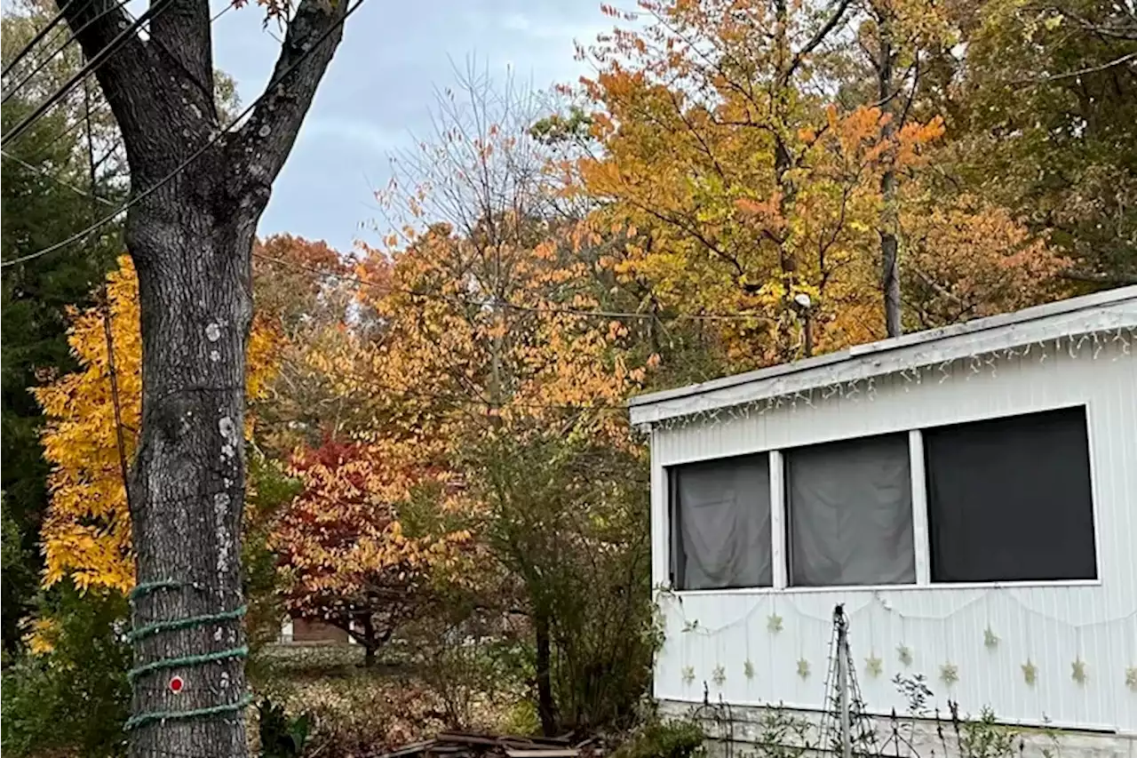 Life-like doll resembling a Black child seen hanging from a tree in NJ